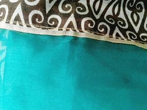 Sea Green Tissue silk Saree