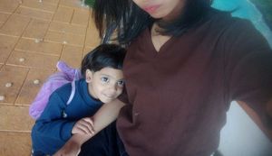 Brown V-Neck Crop Top