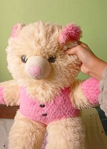 Cute Pink &amp; Cream Teddy Bear