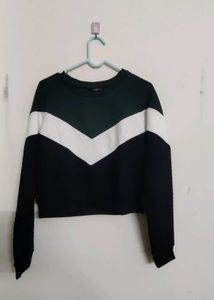 Zudio Green Colorblocked Sweatshirt