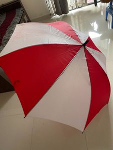 Umbrella