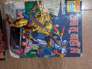 Raj Comic Books Collection