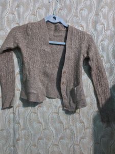 Brown Sweater