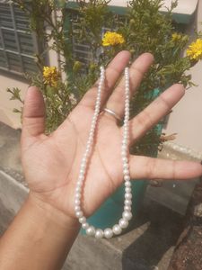 Pearl Necklace