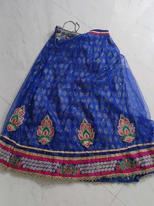 Blue Embroidered Lehenga Skirt