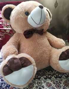 Teddy Bears 🐻🐨