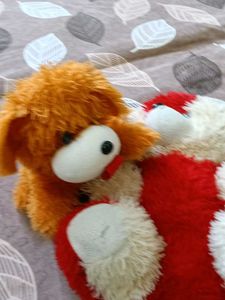Combo Of 4 Teddy