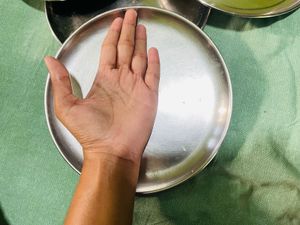 4 piece Steel Dinner Plate