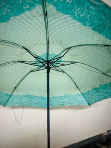 Foldable Umbrella