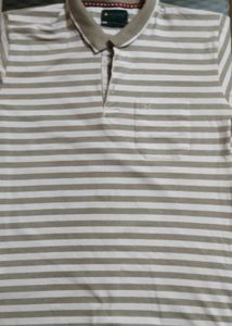 Cottonking Beige Colour Striped Polo Shirt