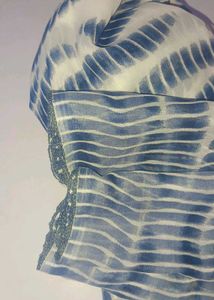 Saree With Zebra Print