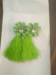 Earrings With Feather