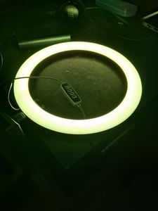 Ring Light (Large)