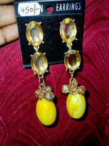 Earrings New Not Used No Damage
