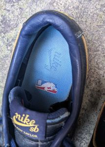 Nike SB Zoom Blazer Low GT NBA Warriors
