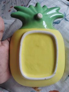 ceramic 🍍 dish