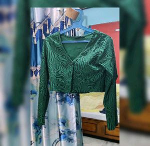 Elegant Stylish Dress