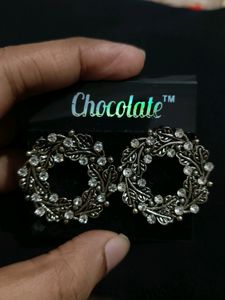 Beautiful New Earrings