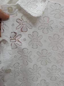 Cotton Fancy Chikankari Shirt Crop Top