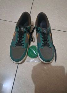 Nike SB Dunks With Extra Laces