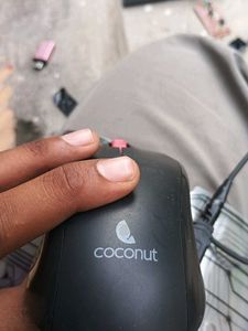Mouse