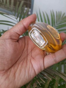 Burberry Classic 50ml