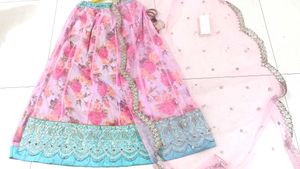 pastel pink And Blue Cute Lahenga✨
