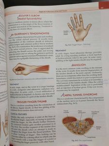 Essential Orthopaedics 7th Edition