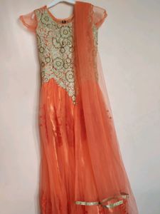 Barbie Gown With Embroidery