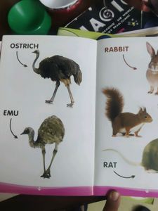 2 Books Combo For Early Readers