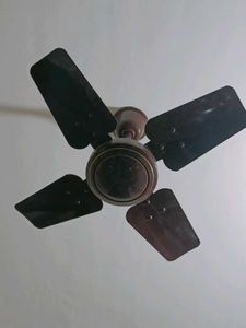Used Ceiling Fan - Brown