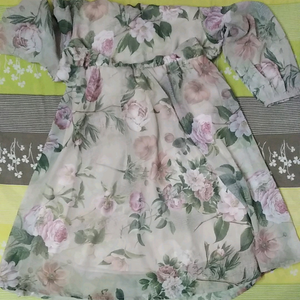 sassafras dress