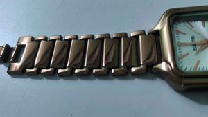 Brown Stainless Steel Watch | Women
