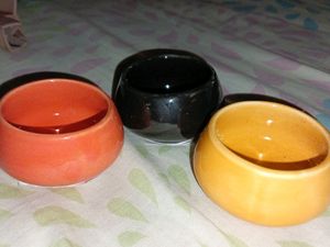 Ceramic Beautiful Bowls - New With Tag