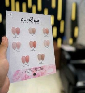 Cameleon Professional Nail Polish Colors