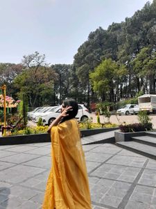 Elegant Yellow Lehenga Choli