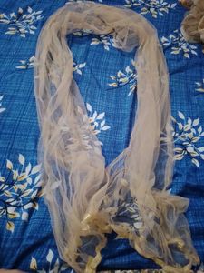 Biscuit colour lehnga choli set