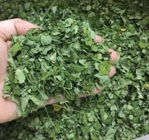 Moringa Leaves