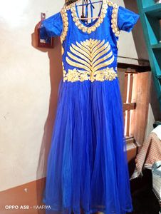 Beautiful Blue Berry Gown