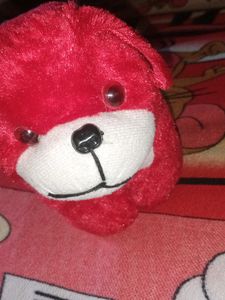Red Dog Teddy