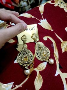 2 Earrings