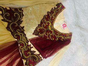 Elegant Net Gown