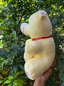 Brand New Teddy Bear