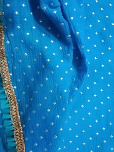 Golden Work Froji Duppta ...Party Wear