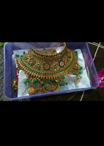 Beautiful Bridle Set Only One Time Use