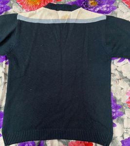 Men Blue Sweater