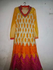 Elegant Ethnic Gown