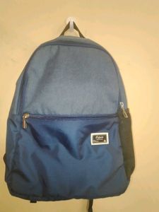 Stylish Blue Backpack