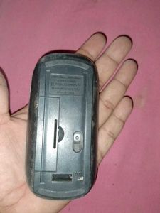 Mouse
