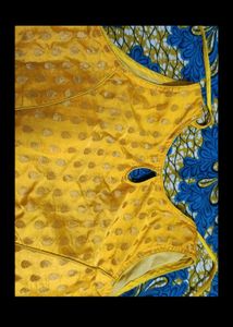 Saree With Sleeveless Blouse